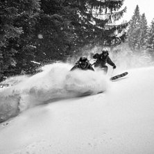 Skogsshredd p&aring; v&auml;g ned till b&auml;ckf&aring;ran. Foto: Axel Adolfsson.