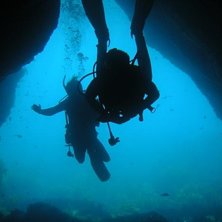 Dyk i marina naturreservatet vid Poor Knifgts Isla. Foto: Daniel Brand. &Aring;kare: Martin &amp;amp; Martin.