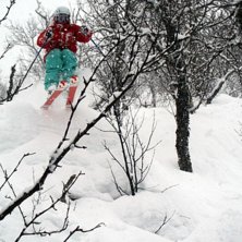 Skogsskid&aring;kning is da shit!. Foto: Arvid Larsson. &Aring;kare: Oscar Lagn&eacute;us.
