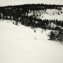 Foto: Marcus Jernstr&ouml;m. &Aring;kare: Petter Bj&ouml;rnsson.