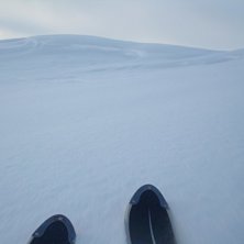 Foto: Lennart Berggren. &Aring;kare: Dynastar.
