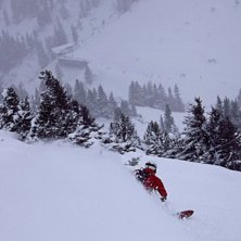 Sk&ouml;nt med lite skog n&auml;r det dumpar!. Foto: Anders Schlander. &Aring;kare: Robert Hortlund.