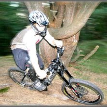 en sv&auml;ng. Foto: Joakim Croy. &Aring;kare: Martin S&ouml;derqvist.