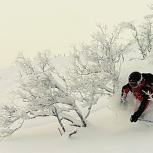 Foto: Michael Spendel. &Aring;kare: Jimmy Berglund.