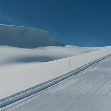 Fantastiske forhold
Turl&oslash;yper til Dale og Skogo p.