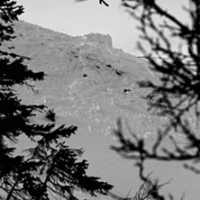 3 tail. Foto: Yngve Staberg. &Aring;kare: Jon Olav Skjesol.