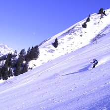 Puder.... Foto: Krister Jonsson. &Aring;kare: Anna Backlund.