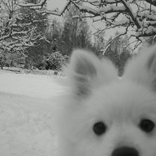 Foto: jag. &Aring;kare: harry.