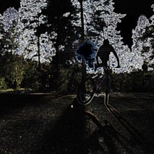 Foto: william. &Aring;kare: anton.