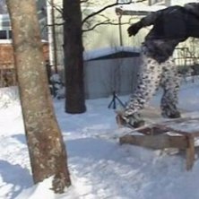 Ja du :P . Foto: Rein linquist. &Aring;kare: Victor St&aring;hlberg.