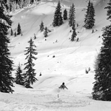 Foto: Peter Sundstr&ouml;m. &Aring;kare: Olle Sundstr&ouml;m.