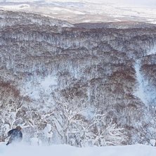 Niseko Foto