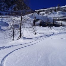 Fint st&auml;lle men med lite f&ouml;r lite sv&aring;righeter.. Foto: Erik H&auml;ggroth.