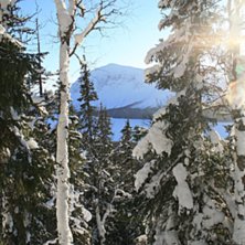 Det &auml;r n&aring;got alldeles speciellt med skogs&aring;kning. Foto: Jonas Emilsson.