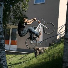 abubaca p&aring; en stubbe . Foto: alex sverin. &Aring;kare: simon r&ouml;nnestrand.