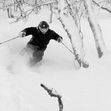 Pinne i v&auml;gen, se n&auml;sta bild. Foto: Petteri Koste. &Aring;kare: Henrik Mideroos.