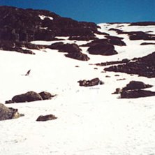 &Aring;pningshelgen Stryn sommeren 2002. Lange baksida.. Foto: Elisabeth Eiternes.