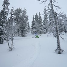 Lite cruising i skogen. Foto: Kiljan Ardal. &Aring;kare: Viktor M&aring;nsson (jag).