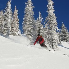 Foto: Magnus Johnson. &Aring;kare: Olle Sj&ouml;lin.