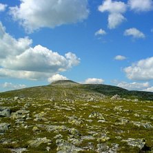 Foto: Alexander H&ouml;ckert.