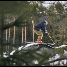 Foto: Jacob Gustafsson (SwedenProPhoto). &Aring;kare: Nick Djupsj&ouml;.
