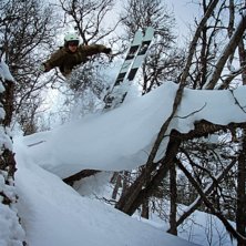 k&ouml;rde upp p&aring; natten fr&aring;n gr&aring;tt stockholm. tror. Foto: david kvart. &Aring;kare: jakob wallin.