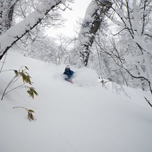 Foto: Robert Hortlund. &Aring;kare: Henrik Liljeqvist.