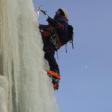 Brant is hemmavid. Foto: Bj&ouml;rn Holmgren. &Aring;kare: Johnny Drottz.