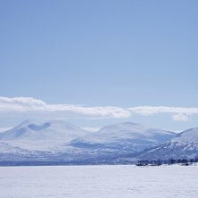 &amp;quot;Andra Sidan&amp;quot; Tornetr&auml;sk i Bj&ouml;. Foto: Marina Wohlin.