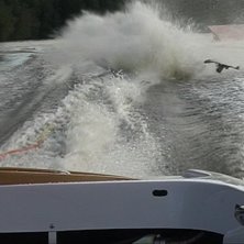 Foto: Mats Eriksson. &Aring;kare: Gustaf Nordenhed.