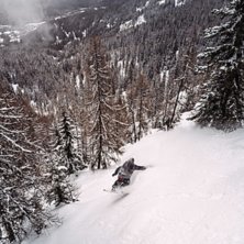 Christoffer Granbom p&aring; v&auml;g ned i skogen i Bruson. Foto: Axel Adolfsson.