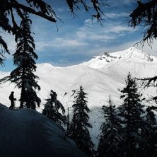 fin utsikt mellan tr&auml;den.. Foto: jakob wallin. &Aring;kare: malena.