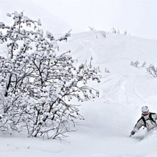 Foto: Felix Grunert. &Aring;kare: Patrik Hammarlund.
