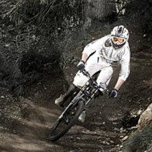 N&aring;gon k&ouml;ttar.. Foto: Simon Berggren. &Aring;kare: ????.