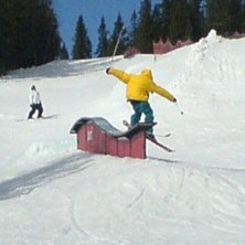 Foto: Gustav Djurberg. &Aring;kare: PK Hunder.