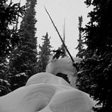 Foto: Mats Nystr&ouml;m. &Aring;kare: Sverre Lillieqvist.
