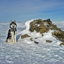 Bilden &auml;r tagen efter en trevlig tur upp p&aring; Vass. Foto: Mikael Heljelid. &Aring;kare: Nij&aacute;k.