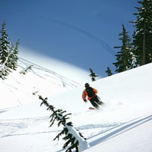Foto: Stefan Wallgren. &Aring;kare: Jesper H&ouml;glander.