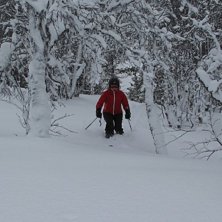 S&aring; h&auml;rligt!. Foto: Robert Forslund. &Aring;kare: Kristina Forslund.