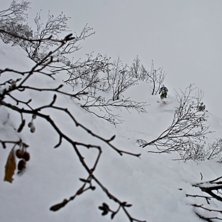 Foto: Felix Grunert. &Aring;kare: Patrik Hammarlund.