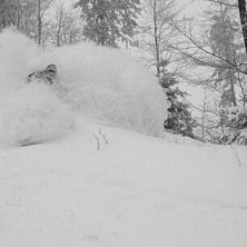 late autumn already choking. Foto: Monic. &Aring;kare: Niko.