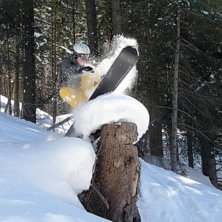 kul i skogen, n&auml;r sn&ouml;n pa toppen var botten.. Foto: Bernhard Graber. &Aring;kare: Samuel Graber.