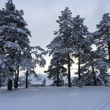 Vi &aring;pner flere bakker
P&aring; l&oslash;rdag er det klart fo.