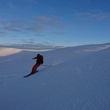 packat, h&aring;rt och h&auml;rligt!.