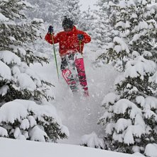Puder p&aring; p&aring;sken &auml;r inte fel !. Foto: Ewa Stegfeldt. &Aring;kare: Emil Stegfeldt.