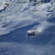 Sn&ouml;sprut som bara den, s&aring; g&ouml;tt mos!. Foto: H&aring;kan Laaksonen. &Aring;kare: Anders Laaksonen.