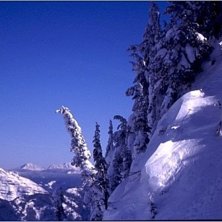 Foto: Rikard Andersson. &Aring;kare: Trent Scarlett.