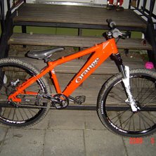 Min nya dirt cykel

En orange misele. Foto: Rasmus Fagerlund.