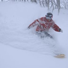 I n&auml;rheten av sn&auml;ckorna.. Foto: Stefan Brod&eacute;n. &Aring;kare: Stefan Lundin.