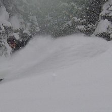 Anaconda Glades i Fernie B.C.. Foto: Jens Sundqvist. &Aring;kare: Filip Gepertz.